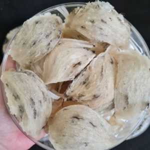 Yến Sào Thô Loại 1